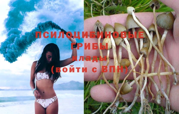 a pvp Балахна