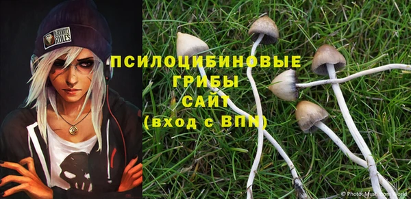 a pvp Балахна