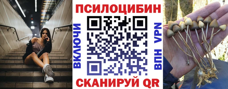 Купить  Нижние Серги  Галлюциногенные грибы мухоморы 