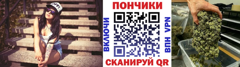 Бошки Шишки гибрид  Купить закладки  Нижние Серги 
